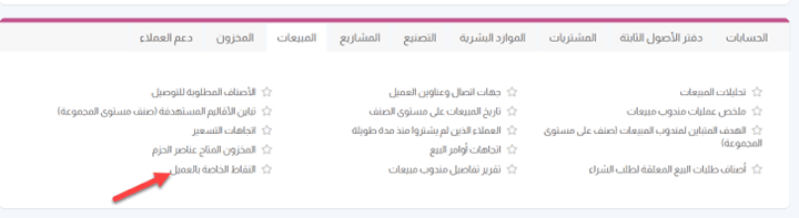تقرير النقاط الخاصة