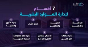 7 اقسام إدارة الموارد البشرية انفوجرافيك